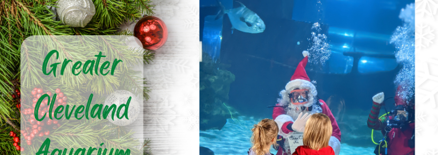 Perceptie mechanisch Positief Giveaway: Hooked on Scuba Claus at the Greater Cleveland Aquarium –  Momgineering the Future ®